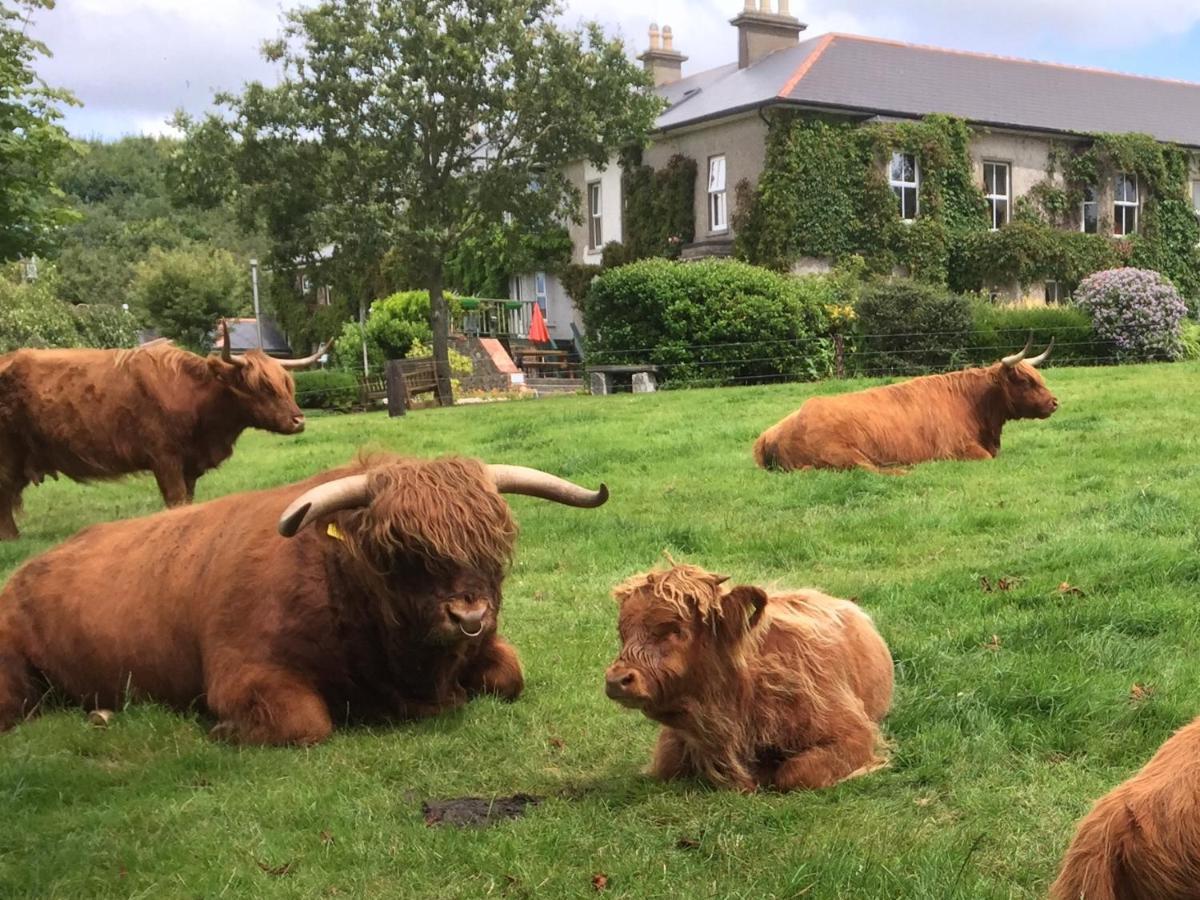 Glendine Country House Wexford Bed and Breakfast Arthurstown Exterior foto