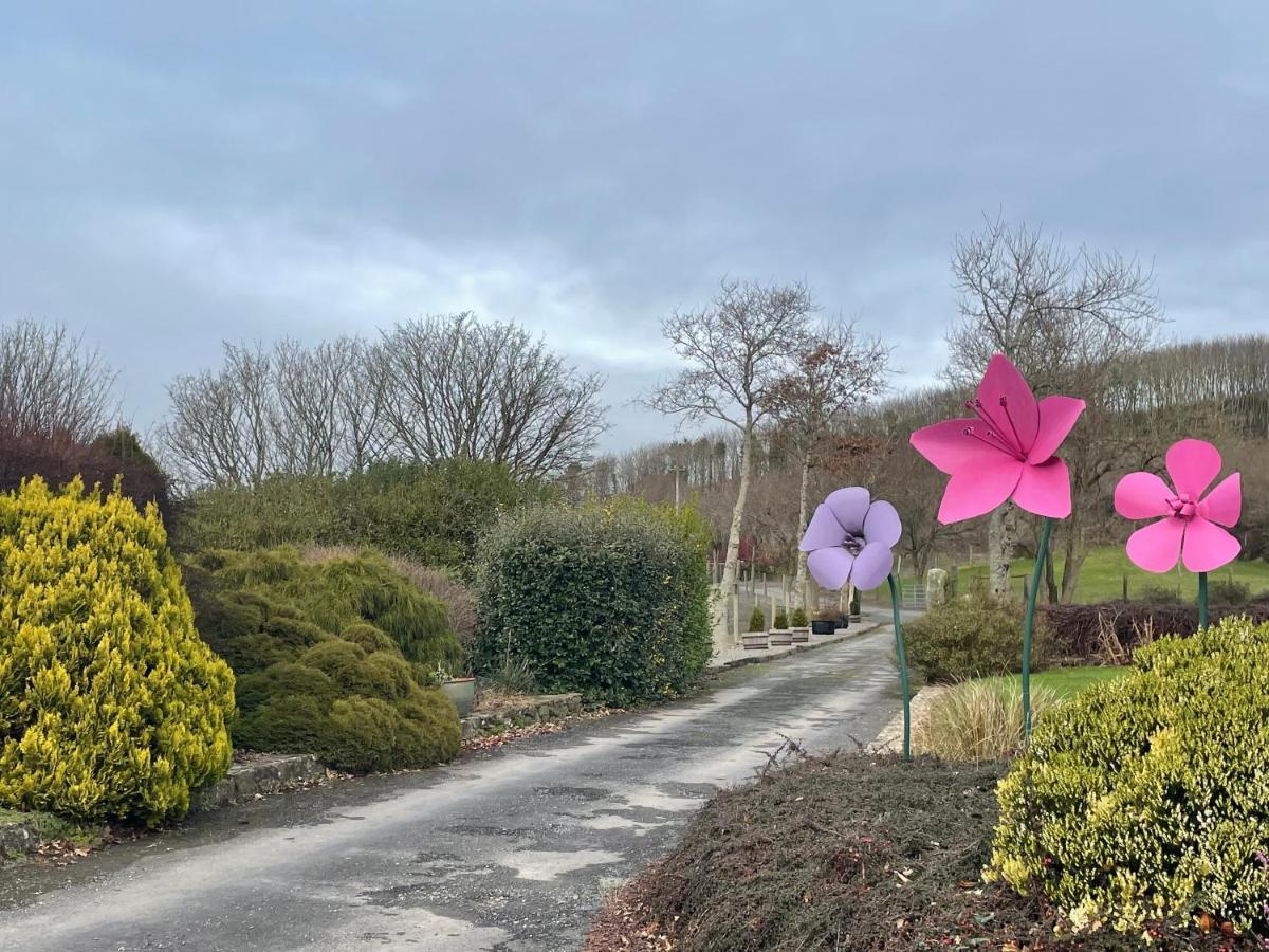 Glendine Country House Wexford Bed and Breakfast Arthurstown Exterior foto